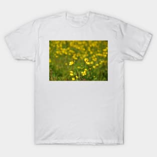 Wild Buttercup Field T-Shirt